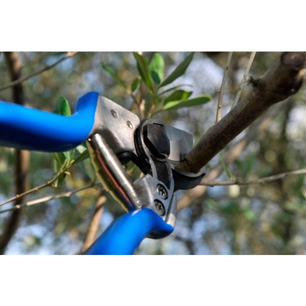 PROFESIONALNE ŠKARJE VESCO A3 - škarje za trto