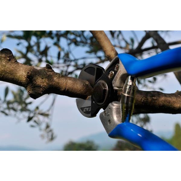 PROFESIONALNE ŠKARJE VESCO A2 velikost S