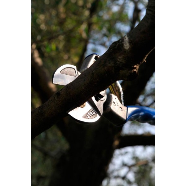 PROFESIONALNE ŠKARJE VESCO A2 velikost ML