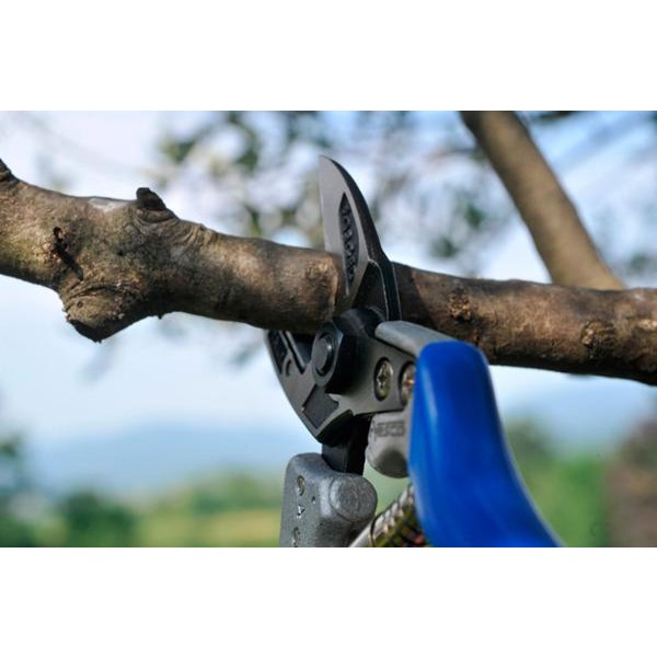 PROFESIONALNE ŠKARJE VESCO A4 velikost S