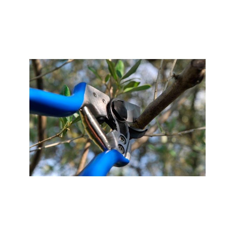 PROFESIONALNE ŠKARJE VESCO A3 - škarje za trto