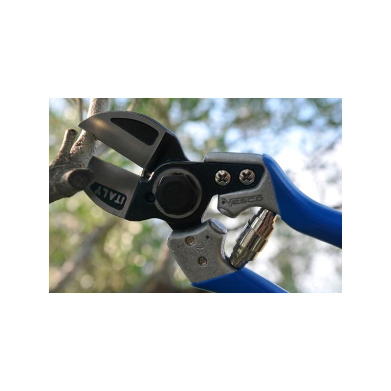 PROFESIONALNE ŠKARJE VESCO A2 velikost S