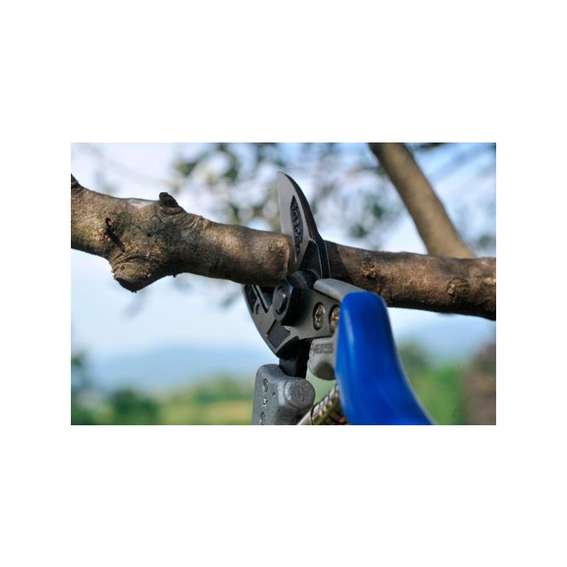 PROFESIONALNE ŠKARJE VESCO A4 velikost ML