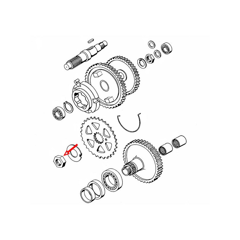 Matica sprednjega zobnik Tomos A3 A35 A5 s semeringom