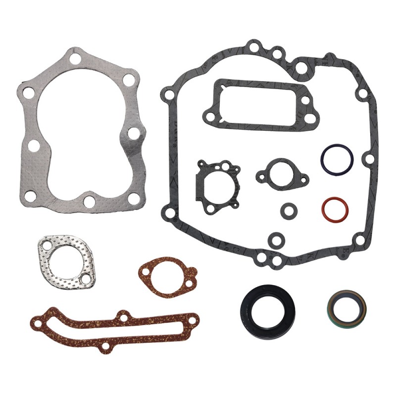 Komplet tesnil B&S z semeringom 5.5KS 496117